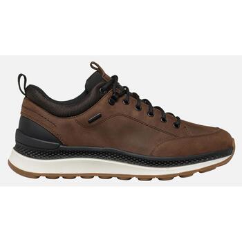 Schuhe Herren Sneaker Low Geox GEUAI25-U46HMB-cff Braun