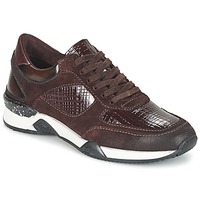 Schuhe Damen Sneaker Low Dream in Green FARRICA Bordeaux