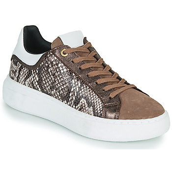 Sko Dame Lave sneakers JB Martin HIBISCUS Mix / Pyton / Brun