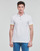 textil Herre Polo-t-shirts m. korte ærmer Guess OZ SS POLO Hvid