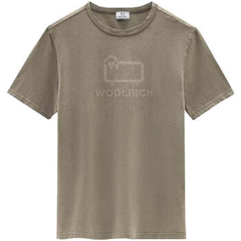 textil Herre T-shirts & poloer Woolrich  Beige