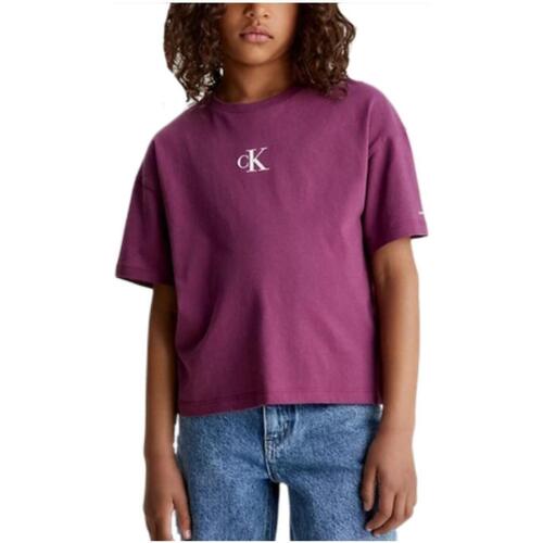 textil Pige T-shirts m. korte ærmer Calvin Klein Jeans  Violet