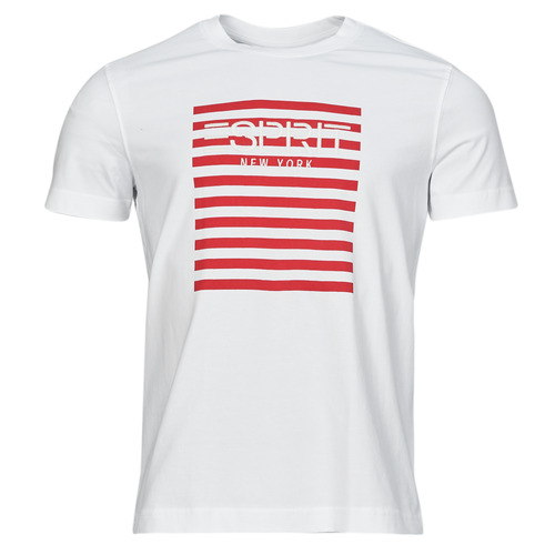 textil Herre T-shirts m. korte ærmer Esprit OCS LOGO STRIPE Hvid