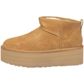 Sko Dame Vinterstøvler UGG  Beige