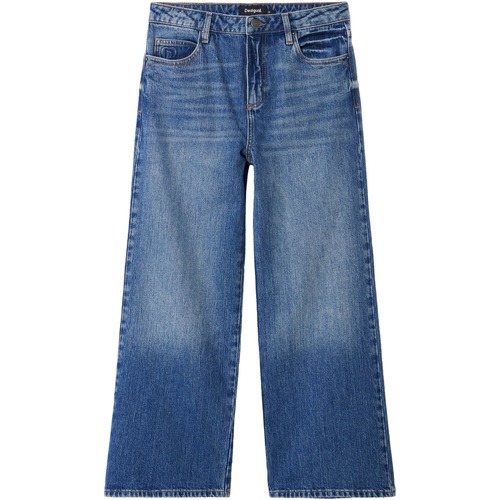 textil Dame Jeans - boyfriend Desigual DENIM_BERYL 24WWDD66 Blå