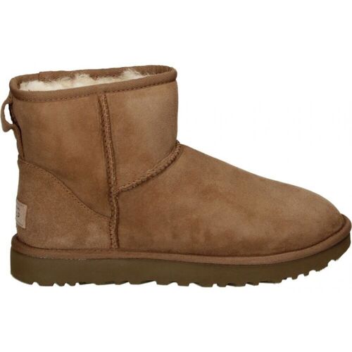 Sko Dame Høje støvletter UGG CLASSIC MINI II Brun