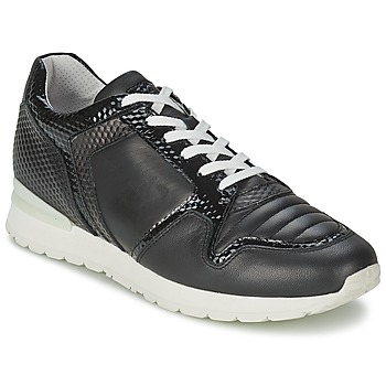 Sko Dame Lave sneakers Bikkembergs KATE 420 Sort