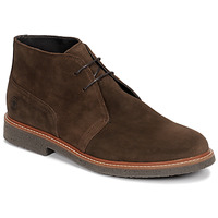 Zapatos Hombre Botas de caña baja Casual Attitude NETOINE Marrón