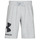 textil Hombre Shorts / Bermudas Under Armour UA RIVAL FLC BIG LOGO SHORTS Gris