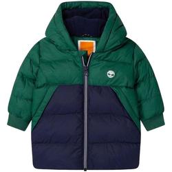 textil Niño Cortaviento Timberland T06423/678 Azul