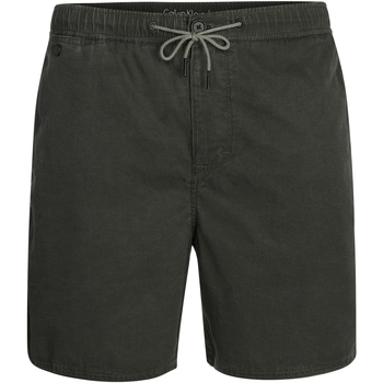 textil Hombre Shorts / Bermudas Calvin Klein Jeans J30J305176099 Negro