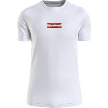 textil Hombre Camisetas manga corta Calvin Klein Jeans CAMISETA STRIPE  HOMBRE Blanco