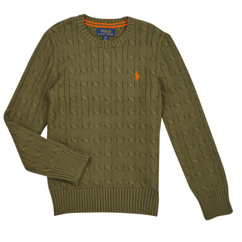 textil Niños Jerséis Polo Ralph Lauren LS CABLE CN-TOPS-SWEATER Kaki