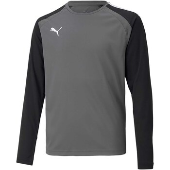 textil Niños Tops y Camisetas Puma Teampacer Gk Ls Jersey Jr Gris