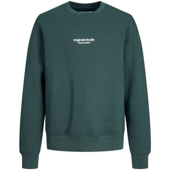 textil Hombre Sudaderas Jack & Jones 12242471 VESTERBRO-MAGICAL FORESR Verde