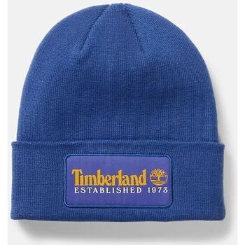 Accesorios textil Sombrero Timberland TB0A2PTD ESTABLISHED 1973-G58 CLEMA Azul