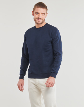 Jack & Jones JJEBRADLEY SWEAT CREW