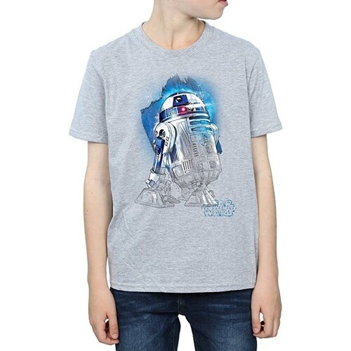 textil Niño Tops y Camisetas Star Wars: The Last Jedi BI1372 Gris