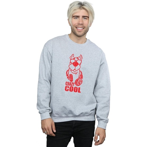 textil Hombre Sudaderas Scooby Doo Crazy Cool Gris