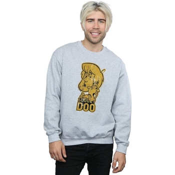 textil Hombre Sudaderas Scooby Doo BI44054 Gris