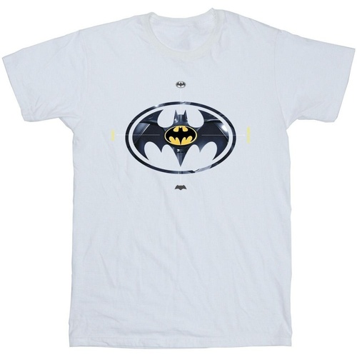 textil Hombre Camisetas manga larga Dc Comics BI52145 Blanco