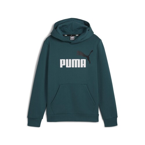 textil Niño Sudaderas Puma ESS+ 2 COL BIG LOGO HOODIE FL Verde