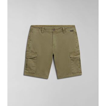 textil Hombre Shorts / Bermudas Napapijri N-DELINE NP0A4HOT-GAE GREEN LICHEN Verde