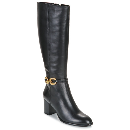 Zapatos Mujer Botas urbanas Fericelli BAHIA Negro