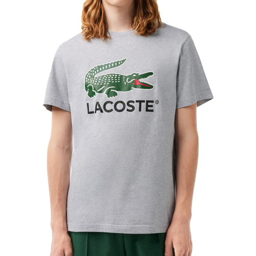 textil Hombre Tops y Camisetas Lacoste  Gris