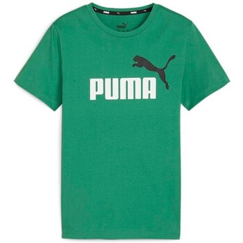 textil Niños Camisetas manga corta Puma 586985-76 Verde