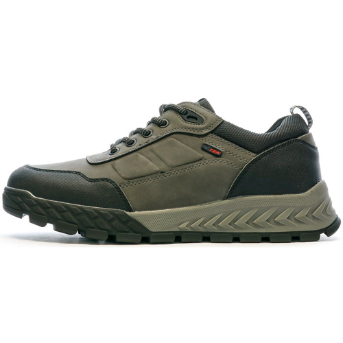 Zapatos Hombre Zapatillas bajas Relife  Gris