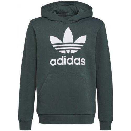 textil Niños Sudaderas adidas Originals h0270_trafoil_hoodie_verde Verde