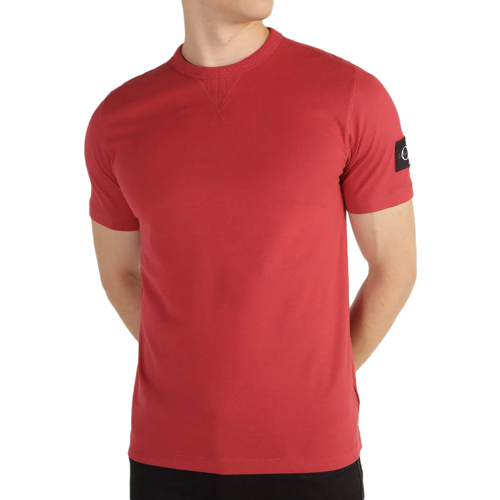 textil Hombre Tops y Camisetas Calvin Klein Jeans  Rojo