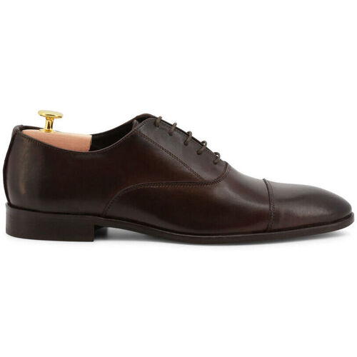 Zapatos Hombre Derbie & Richelieu Duca Di Morrone Elio - Marrón