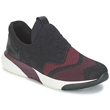 Shoes Women Low top trainers Ash SODA Bordeaux