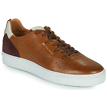 Shoes Men Low top trainers Carlington FREDDI Brown