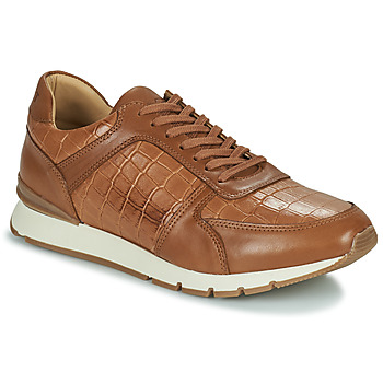 Shoes Men Low top trainers Pellet MAXIM Veal / Brown