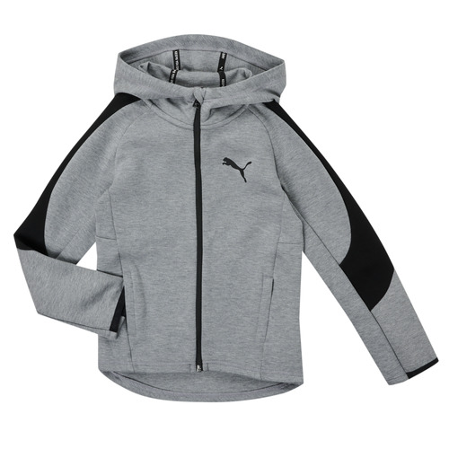 Clothing Boy sweaters Puma EVOSTRIPE CORE FZ HOODIE Grey