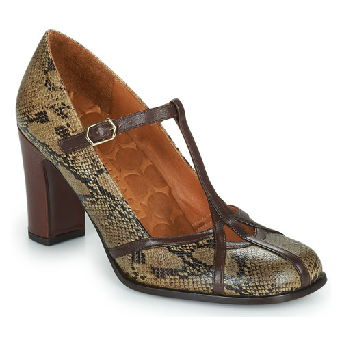 Shoes Women Court shoes Chie Mihara FATMA Python / Brown