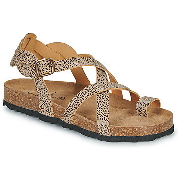 Shoes Women Sandals Metamorf'Ose NACCORE Beige / Brown / Black