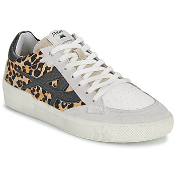 Shoes Women Low top trainers Ash MOONLIGHT Leopard