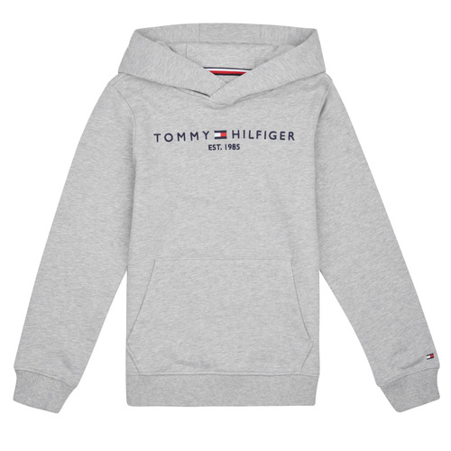 Clothing Boy sweaters Tommy Hilfiger ESSENTIAL HOODIE Grey