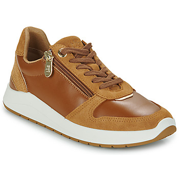 Shoes Women Low top trainers TBS EUGEZIP Brown