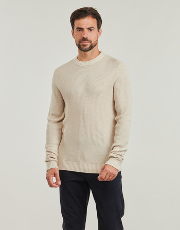 Clothing Men jumpers Jack & Jones JJROY Ecru