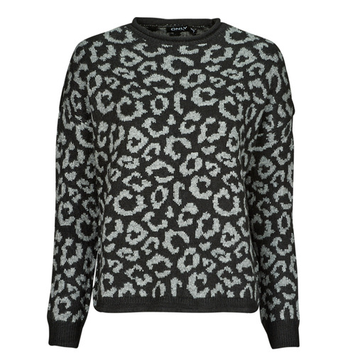 Clothing Women jumpers Only ONLJADE  Grey