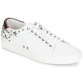 Shoes Women Low top trainers Ash DAZED White / Bordeaux