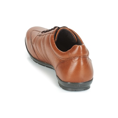 Geox UOMO SYMBOL Brown