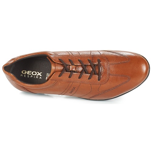 Geox UOMO SYMBOL Brown