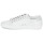 Shoes Women Low top trainers Ash DAZED White