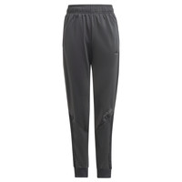 vaatteet Lapset Verryttelyhousut adidas Originals CARMINA Harmaa